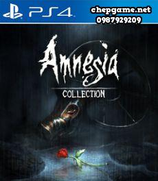 Amnesia Collection