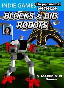 Blocks and Big Robots