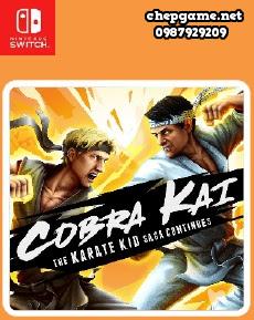 Cobra Kai The Karate Kid Saga Continues