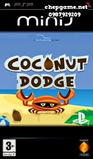 Coconut Dodge