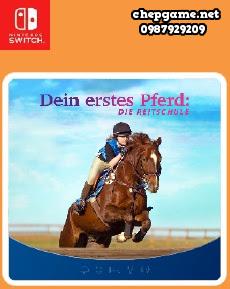 Dein erstes Pferd Die Reitschule