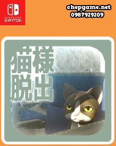 Escape from the cats car window