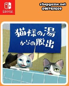 Escape from the cats hot water