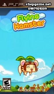 Flying Hamster