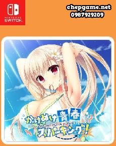 Kakenuke Seishun Sparking