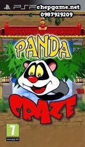 Panda Craze