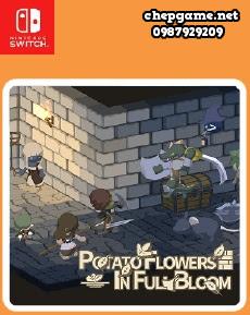 Potato Flowers in Full Bloom