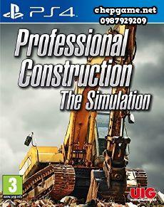Professional Construction The Simulation