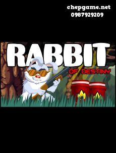 Rabbit of Destiny