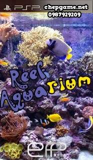 Reef Aquarium