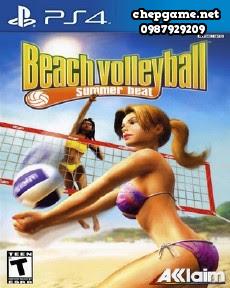 Summer Heat Beach Volleyball