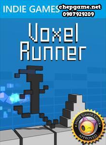 Voxel Runner