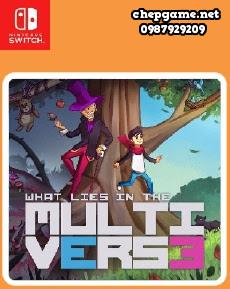 What Lies in the Multiverse