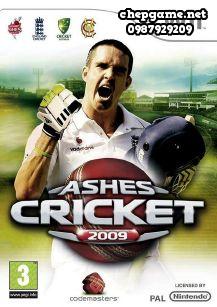 Ashes Cricket 2009