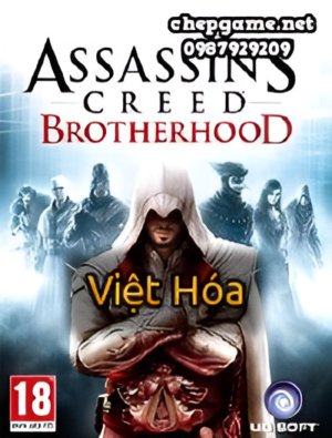 Assassins Creed Brotherhood