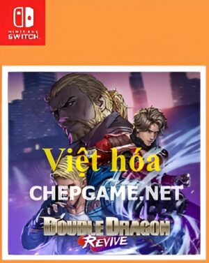 Double Dragon Revive