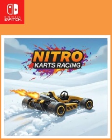 Nitro Karts Racing