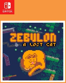 Zebulon A Lost Cat