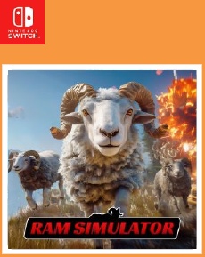 Ram Simulator
