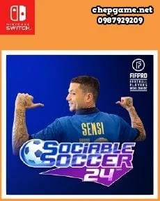 Sociable Soccer 24