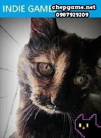 A Game About My Cat