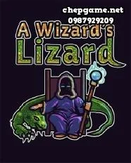 A Wizards Lizard