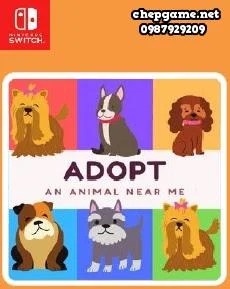 Adopt an Animal Near Me