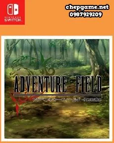 Adventure Field Remake