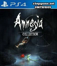 Amnesia Collection