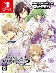 Amnesia Later x Crowd