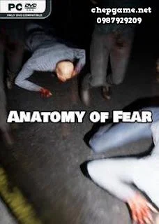 Anatomy of Fear