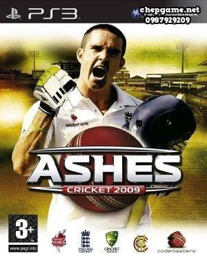 Ashes Cricket 2009