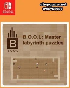 B O O L Master labyrinth puzzles