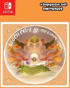 Beach Cafe 3 The Escape Room