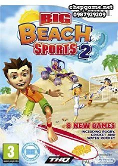 Big Beach Sports 2