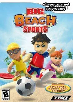 Big Beach Sports