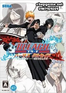 Bleach Versus Crusade
