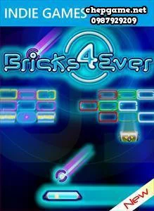 Bricks4ever