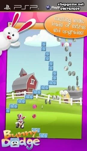 Bunny Dodge
