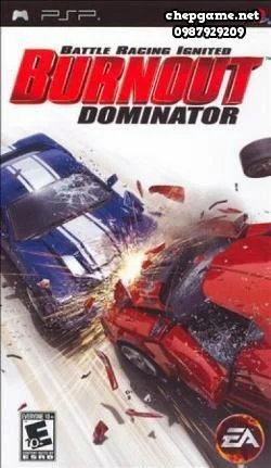 Burnout Dominator