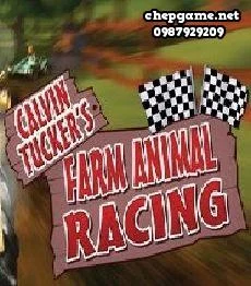 Calvin Tuckers Farm Animal Racing
