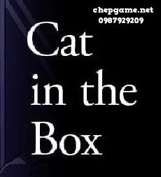 Cat in the Box