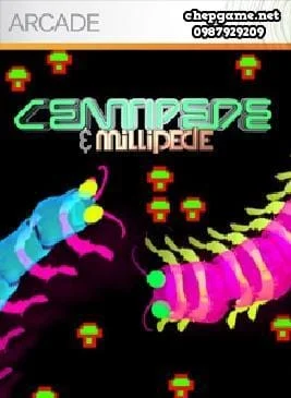 Centipede and Millipede