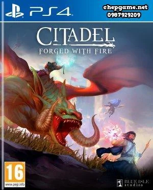 Citadel Forged With Fire