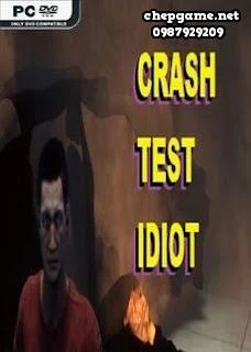 CRASH TEST IDIOT