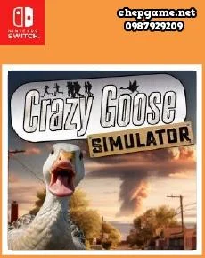 Crazy Goose Simulator