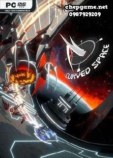 Curved Space