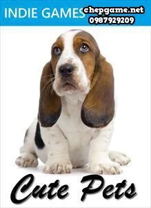 Cute Pets