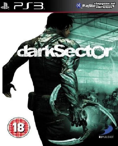 Dark Sector