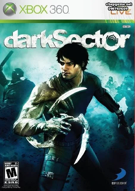 Dark Sector